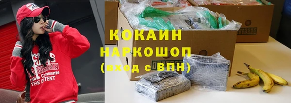 амф Кодинск