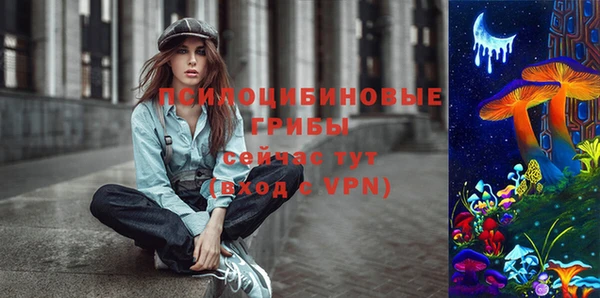 амф Кодинск