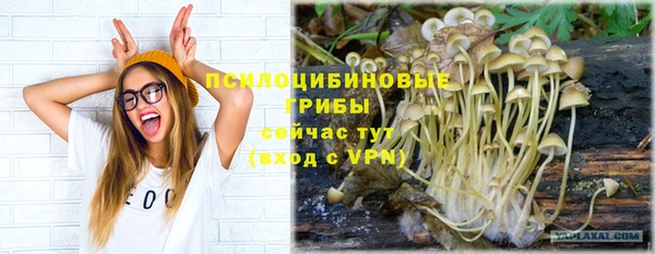 стафф Козельск
