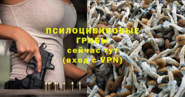 СК Абдулино