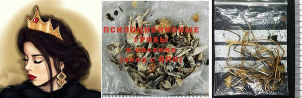 стафф Абинск